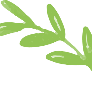 leaves free img
